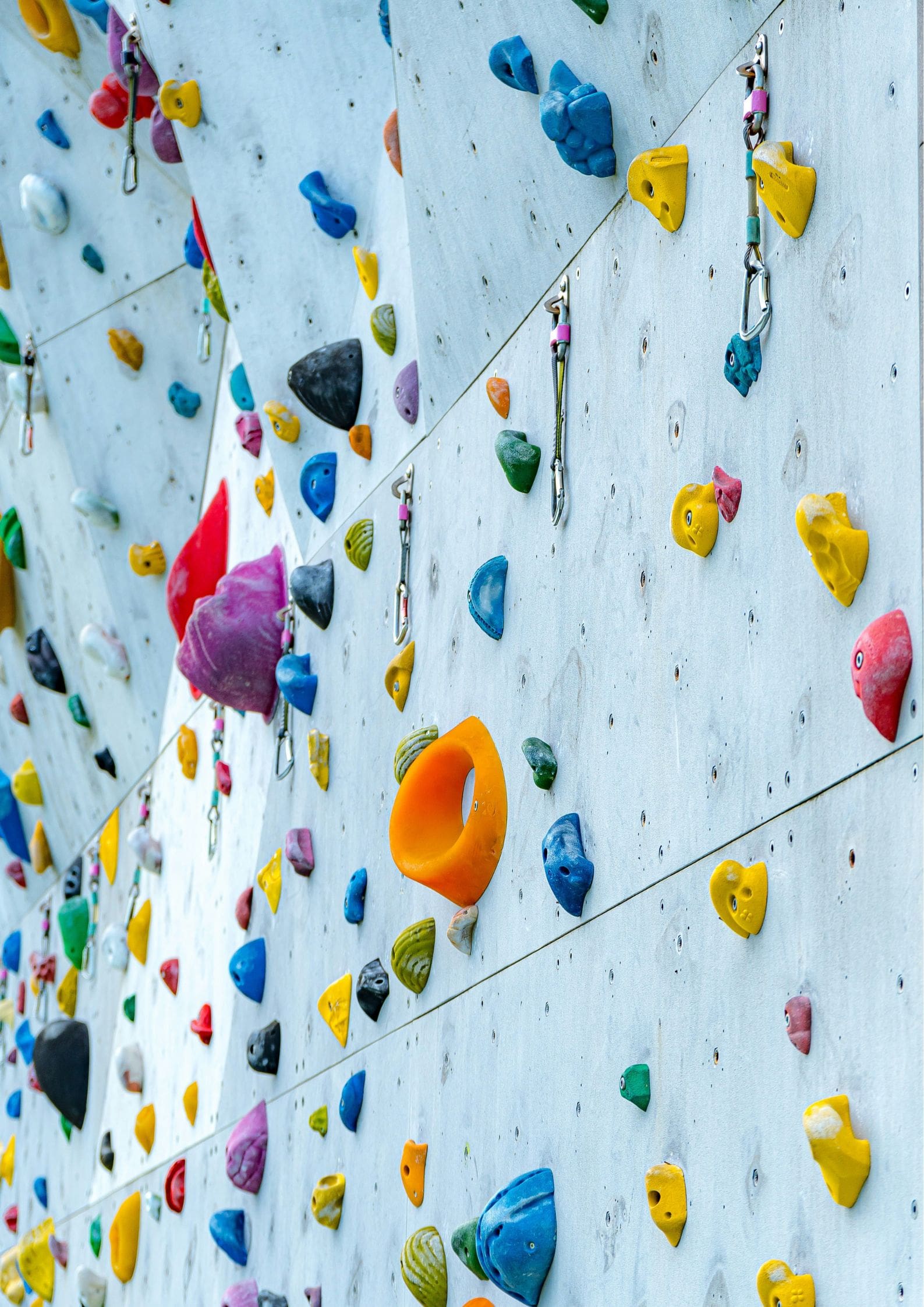 Pared de rocodromo con presas de colores, diseño de rocodromo personalizado